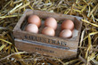 6 oeufs frais 1 6 oeufs frais 1