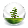 tree in bubble