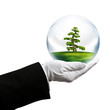 holding tree bubble