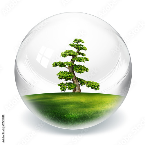 Foto: tree in bubble tree in bubble