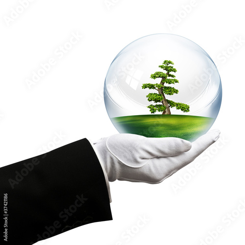 Foto: holding tree bubble holding tree bubble