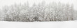 Winter wood