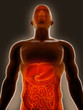 Stomach Ache Pain