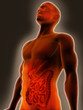 Digestive System Pain