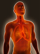 Foto: Sore Chest Sore Chest