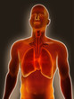 Lung Infection