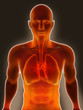 Illustration: Lung Pain Lung Pain