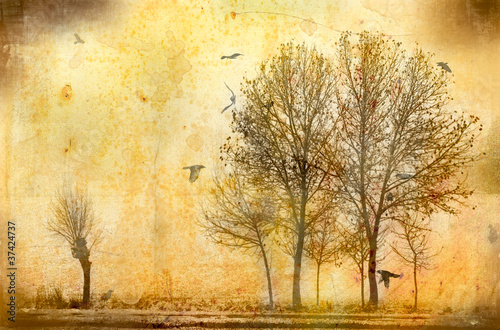 Photo: alberi vintage alberi vintage