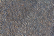 A pattern created by a floor made of stones