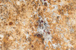 Granite Floor Granite Floor