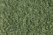 Close-up of Artificial Turf on Sports Field Close-up of Artificial Turf on Sports Field