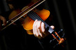 Young violin player playing Young violin player playing
