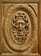 Medusa head