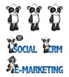Panda mascot