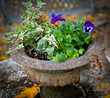 Old garden detail