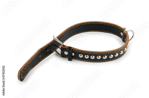 Photo: Dog collar isolated on the white background Dog collar isolated on the white background