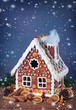 Homemade gingerbread house