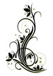 canvas print picture - Ranke, flora, Blumen, Blüten, filigran, schwarz. grün