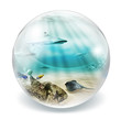 fish in bubble