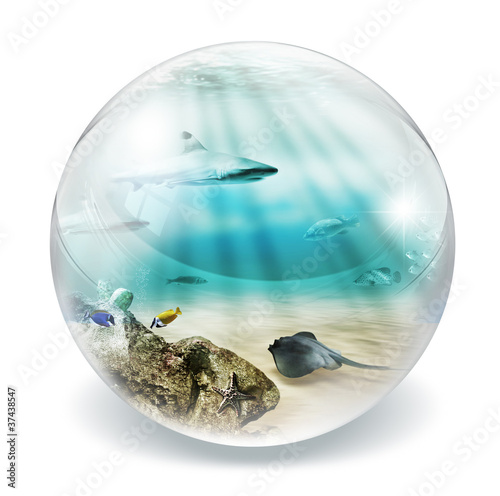 Photo: fish in bubble fish in bubble