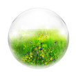 meadow in bubble
