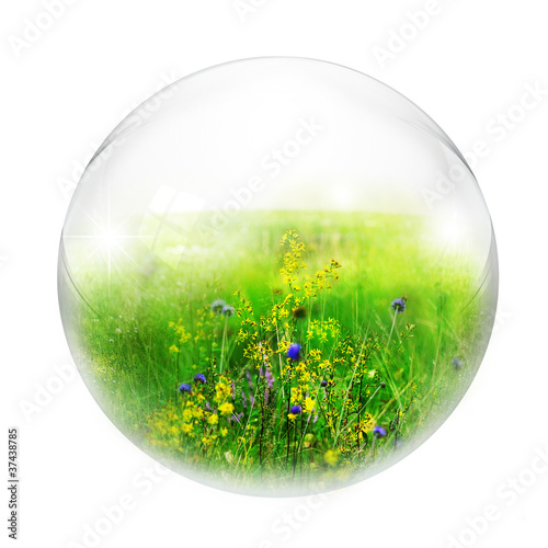 Foto: meadow in bubble meadow in bubble
