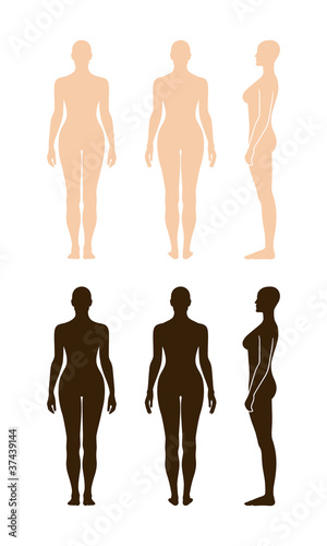 Vector: Naked standing woman vector sihouette Naked standing woman vector sihouette
