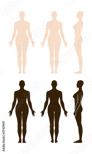 Vector: Naked standing woman vector sihouette Naked standing woman vector sihouette
