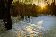 Winter scene of a lake, forest and sunset