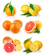 set fresh citrus fruits with cut isolated on white background set fresh citrus fruits with cut isolated on white background