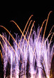Fireworks in park Fireworks in park