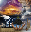 Surreal Composition