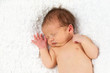 Newborn Baby Sleeping.
