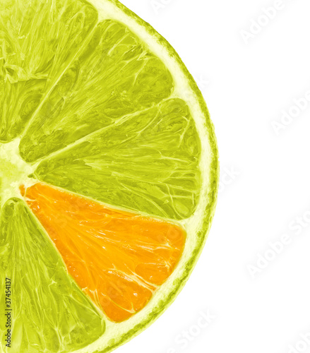 Photo: Orange Lemon Slice Orange Lemon Slice
