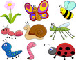 small animals