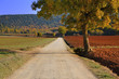Strada di campagna Strada di campagna