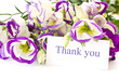 Lisianthus