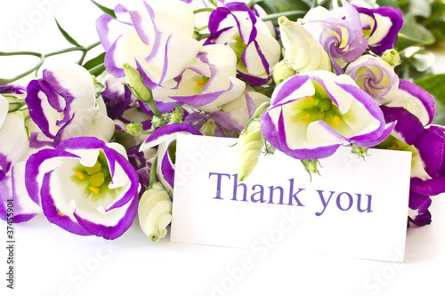 Photo: Lisianthus Lisianthus