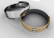 Ring_02