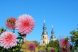 Dahlien vor dem Fuldaer Dom