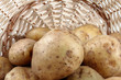 patata