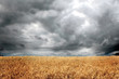 dramatic clouds in field