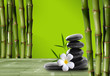 Young, green bamboo in the background boke
