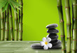 Young, green bamboo in the background boke