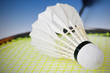Badminton racket and Shuttlecock