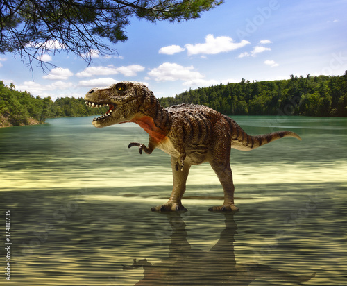 Photo: tyrannosaurus looking for food tyrannosaurus looking for food