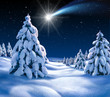 Weihnachtslandschaft 2