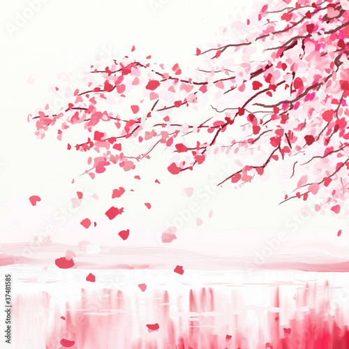 Illustration: Japanese cherry tree Japanese cherry tree