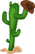 cactus with hat