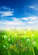 bubbles in meadow
